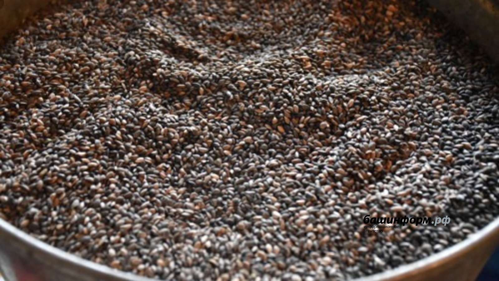 сайт правительства РБ