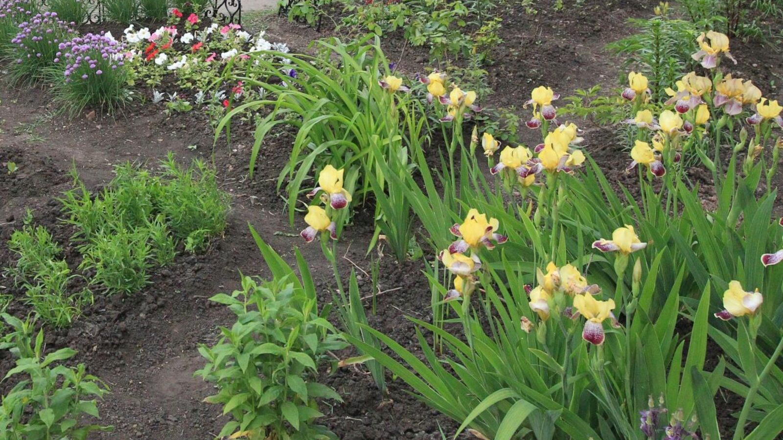 Олег Яровиков