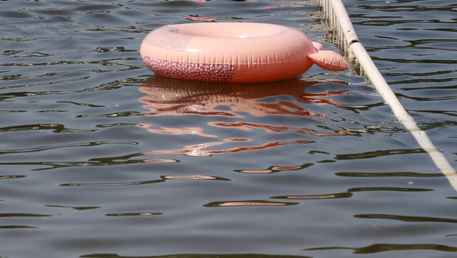 Валерий Шахов