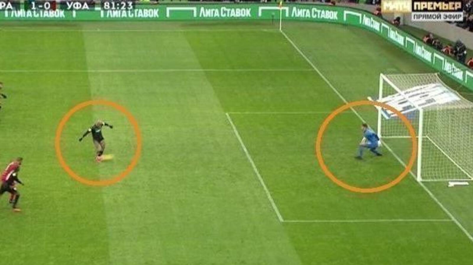 стоп-кадр видео