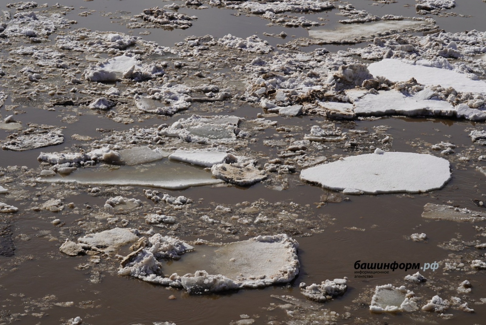 Олег Яровиков  | «Башинформ» мәғлүмәт агентлығы