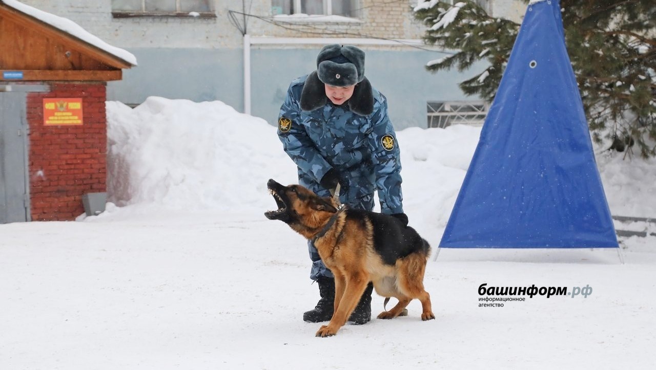 Валерий Шахов