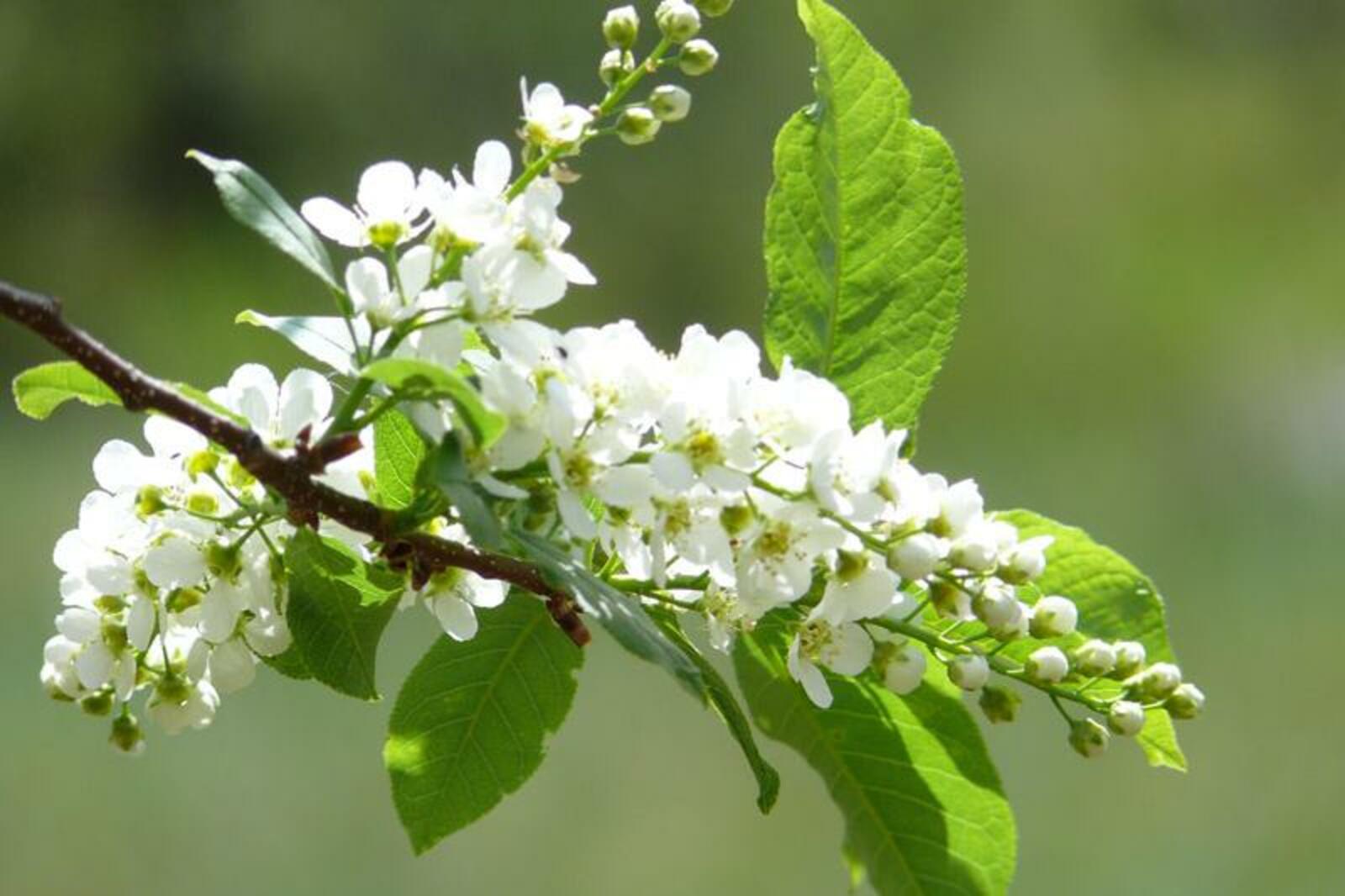 из открытых источников