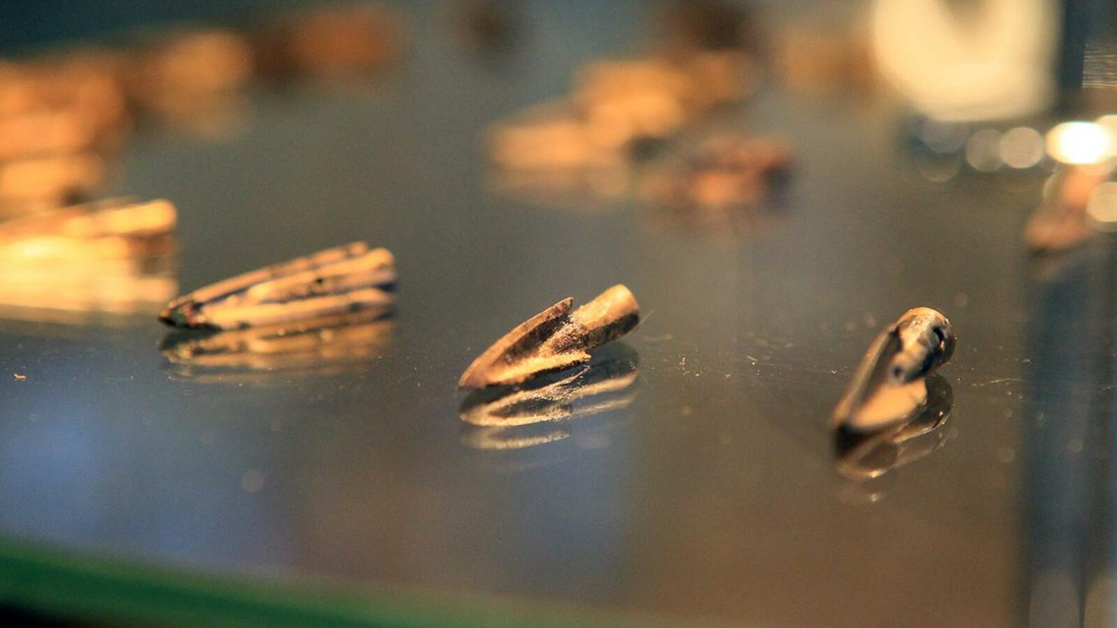 Андрей Старостин