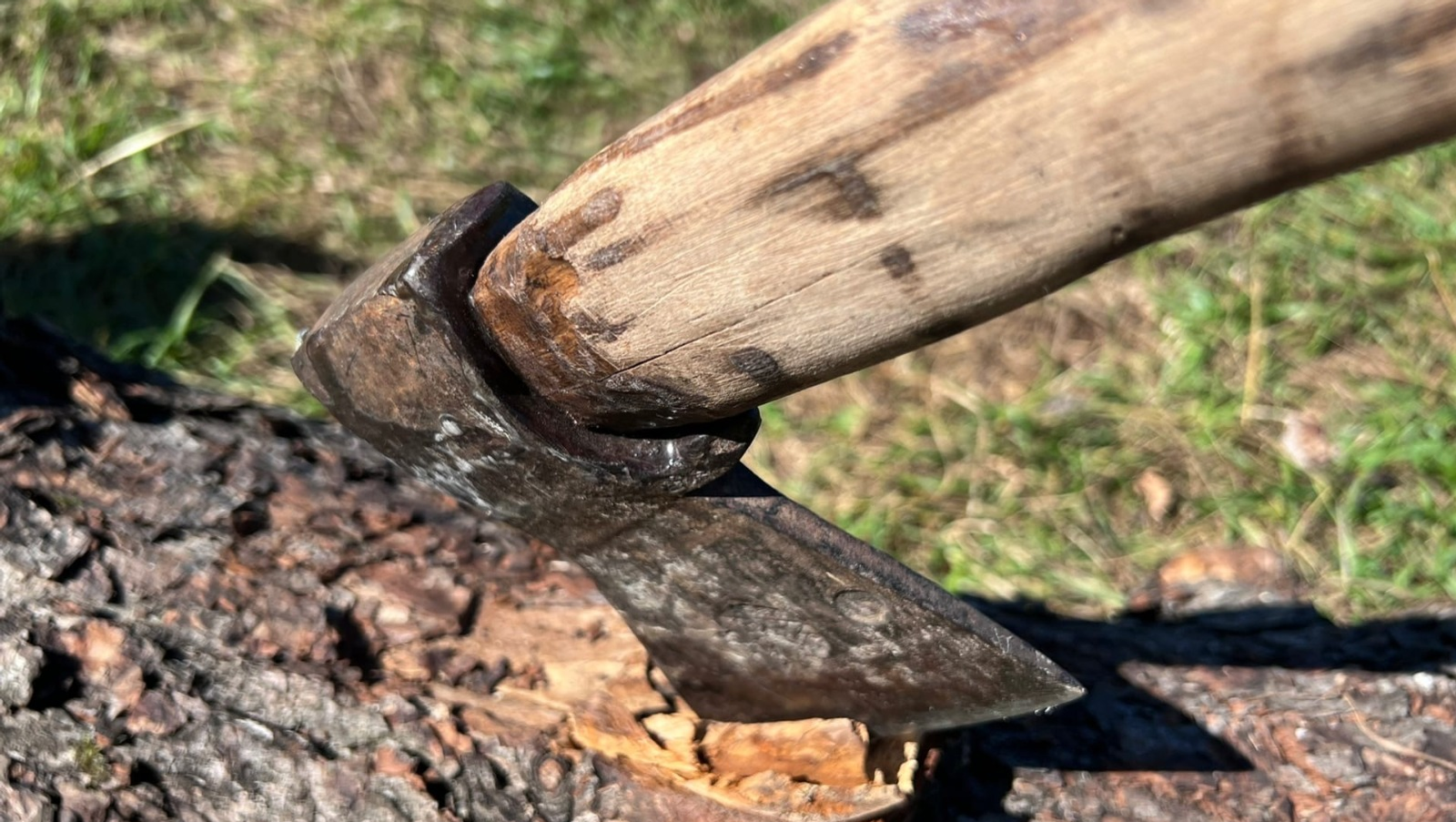 Ксения Калинина