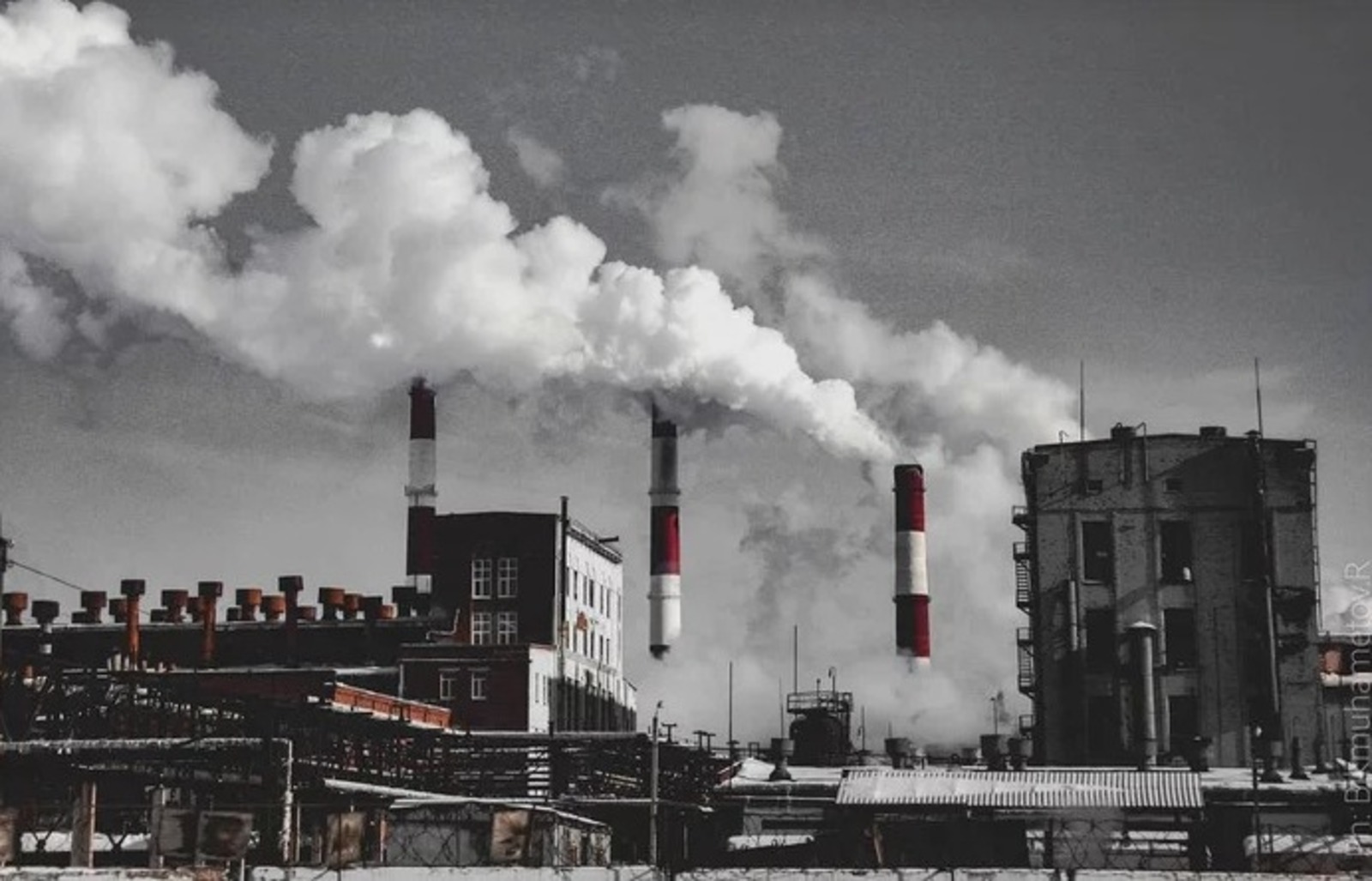 Роберт Бикмухаметов  Пикабу