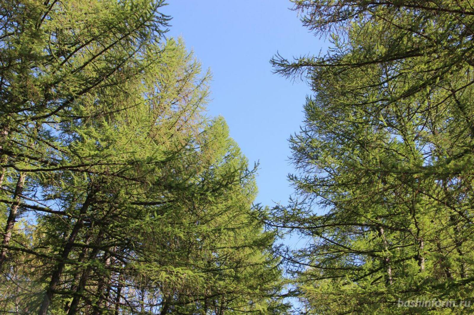 Ксения Калинина