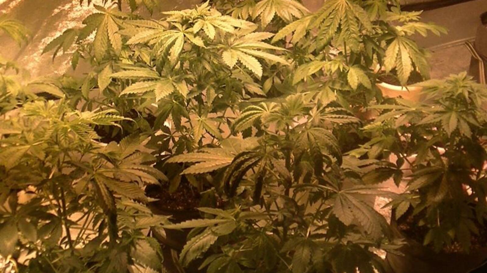 УФСКН по РБ