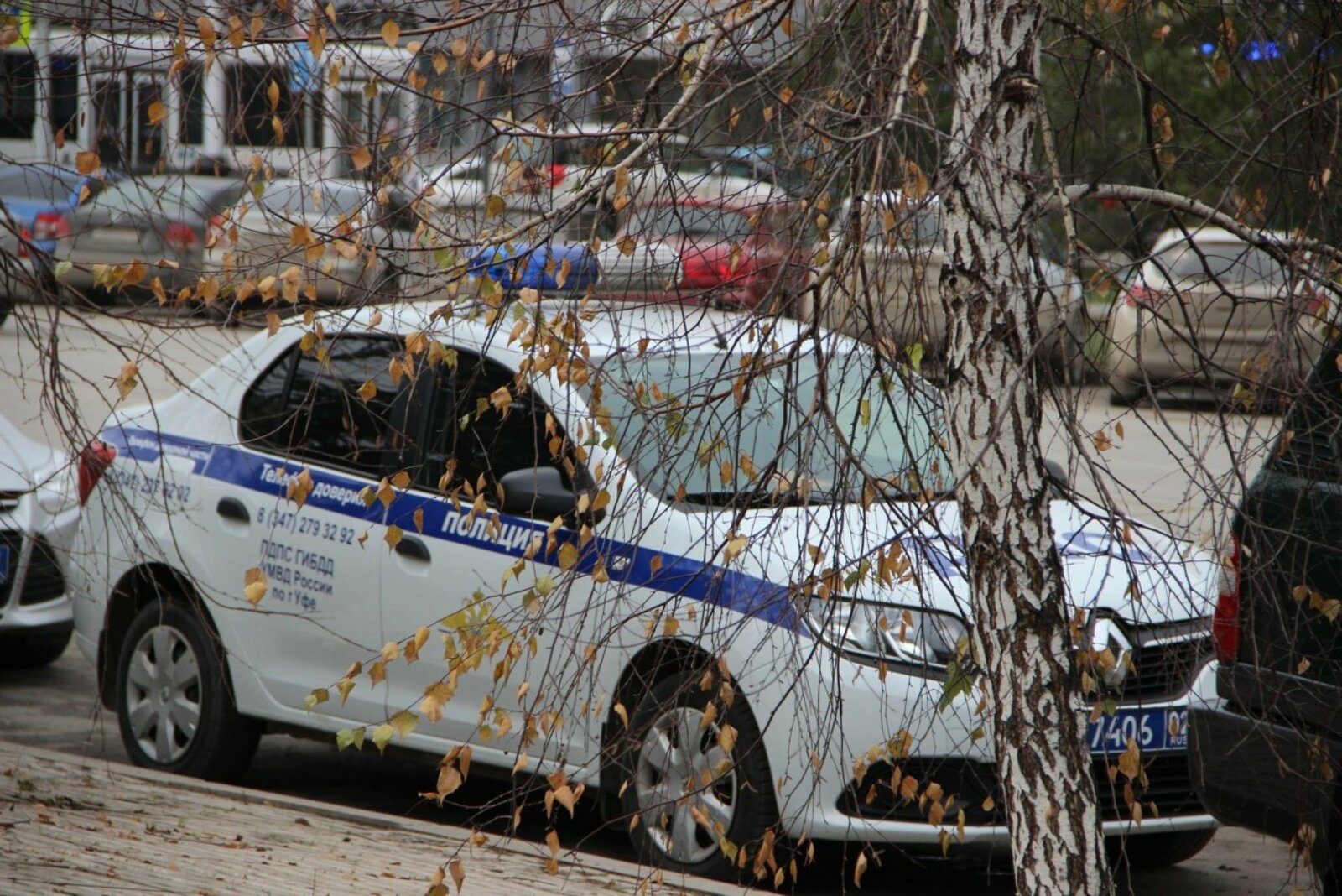 Ксения Калинина