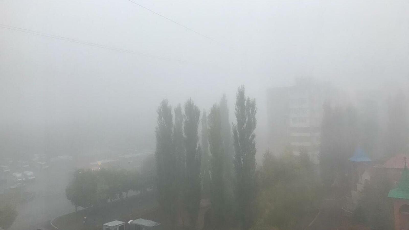 Ксения Калинина