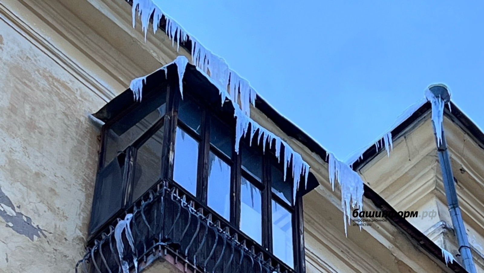 Ксения Калинина  ИА «Башинформ»