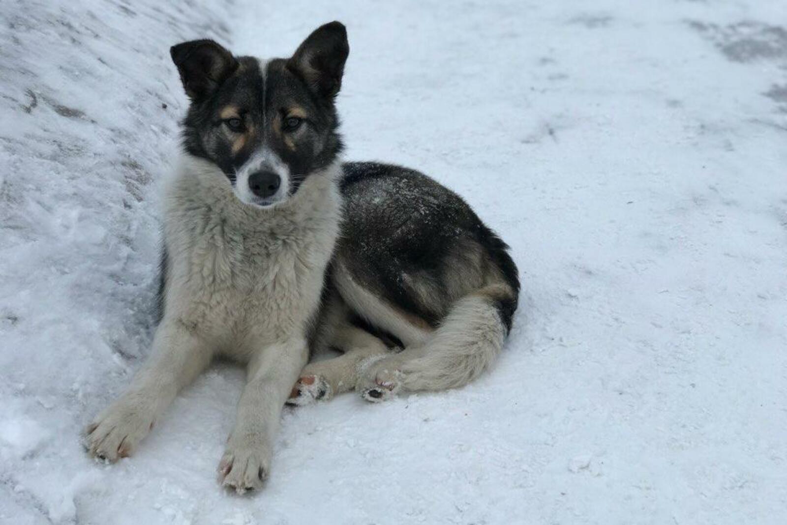 Ксения Калинина