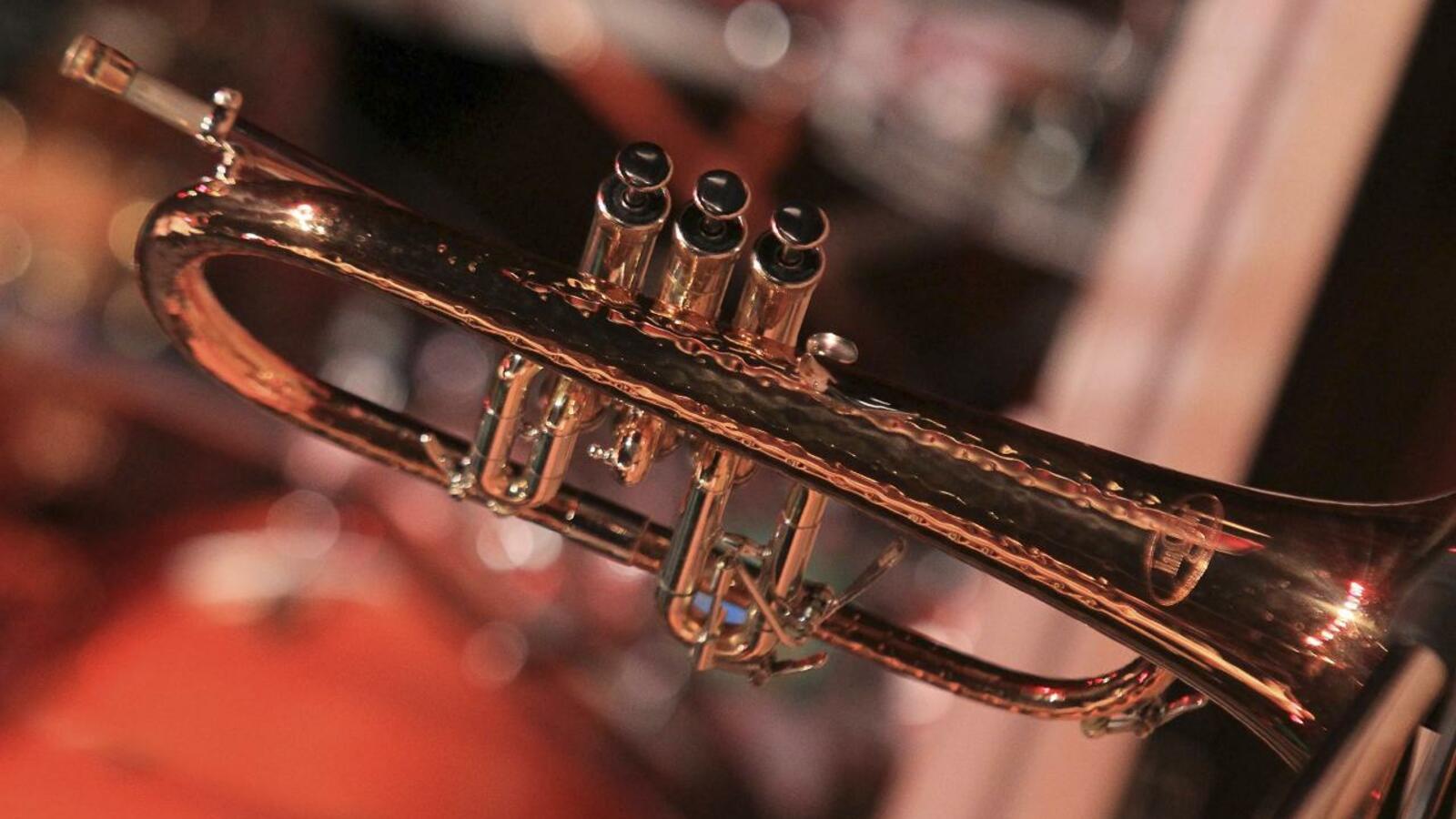 Андрей Старостин