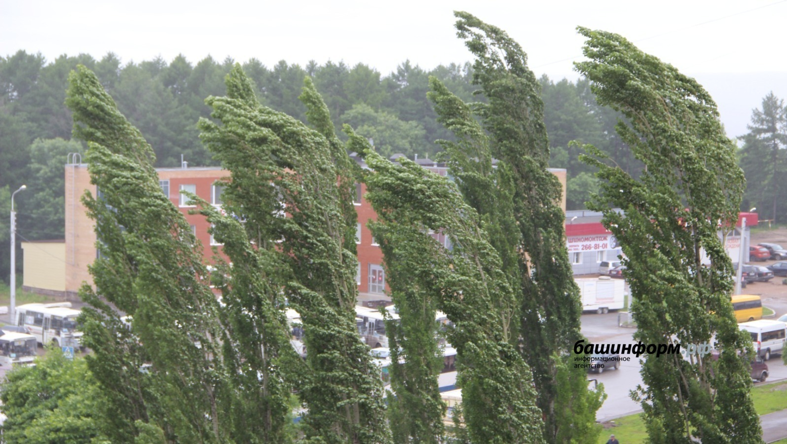 Ксения Калинина