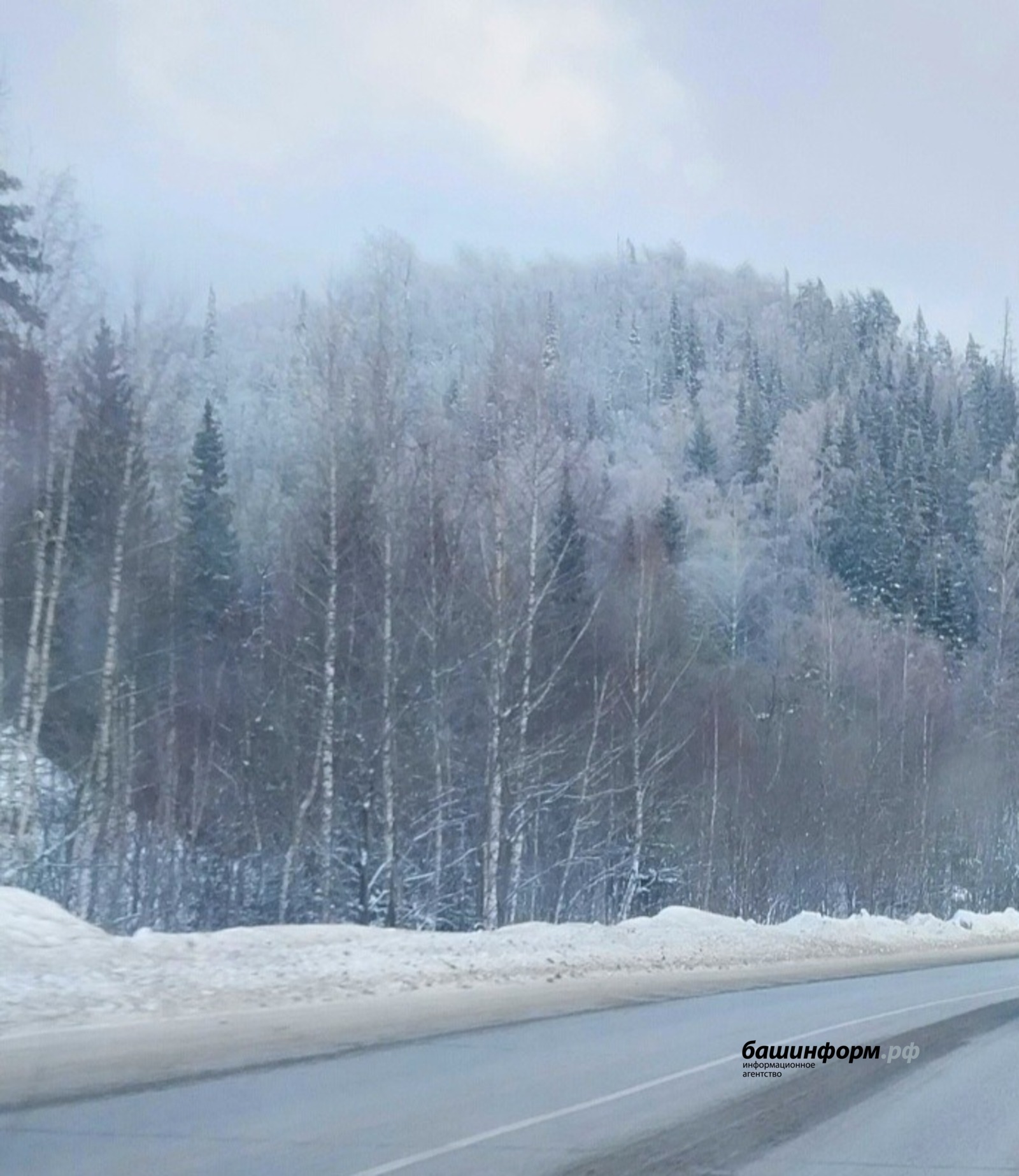 Автор ИА Башинформ