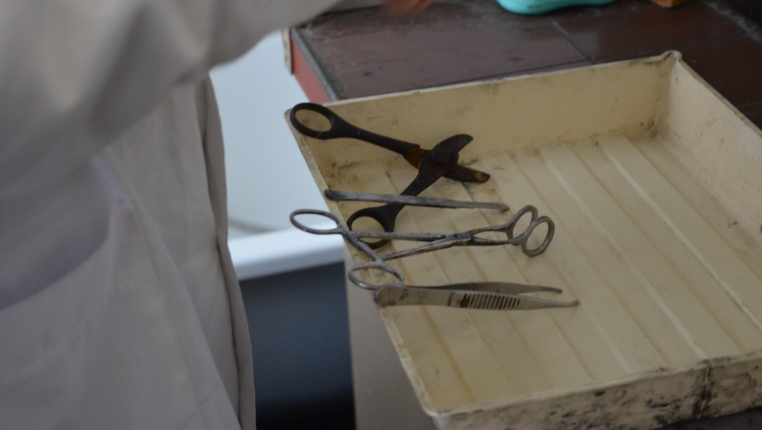 Ксения Калинина