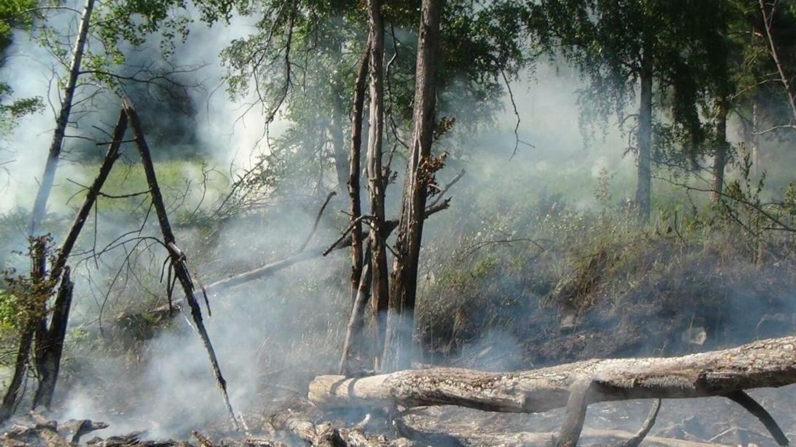 ИА «Башинформ»