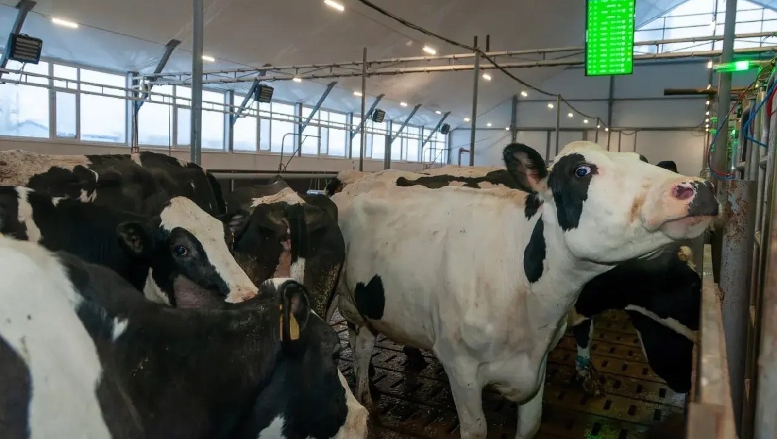 официальный аккаунт Радия Хабирова ВКонтакте