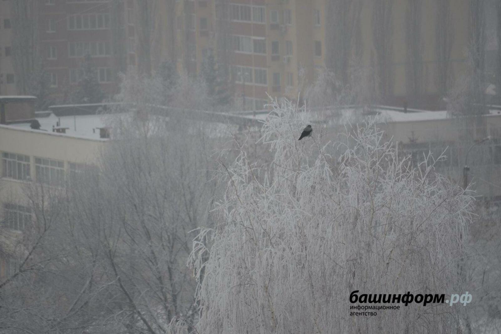 Ксения Калинина