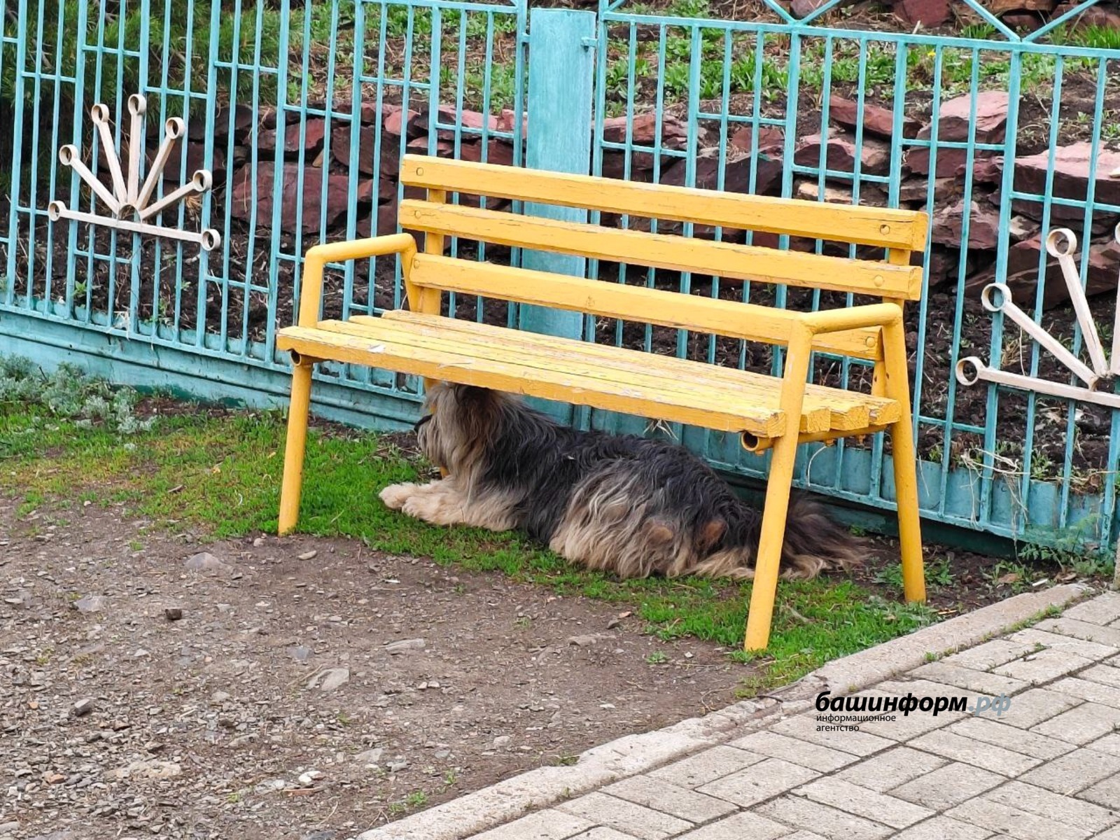 Роман Якимчук