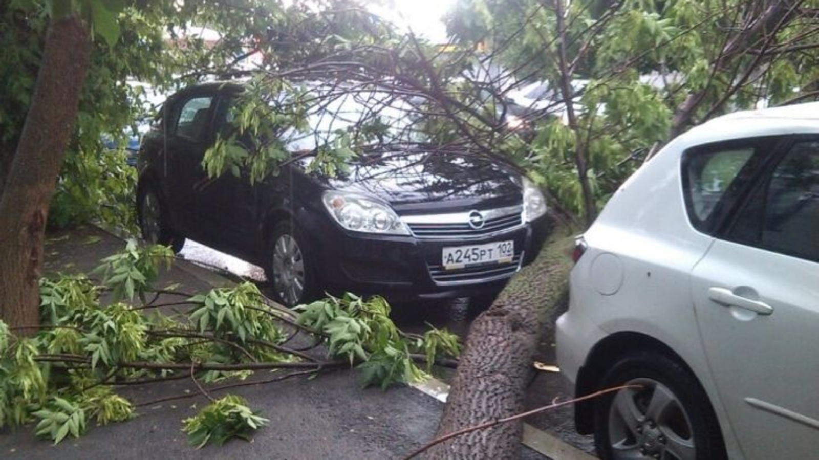 Рустам Галимов, Олег Яровиков