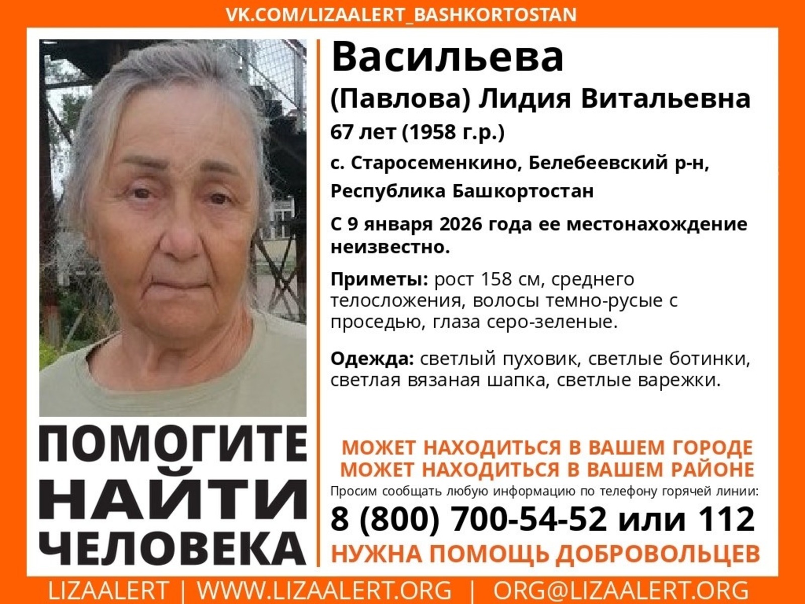 Лиза Алерт соцсети