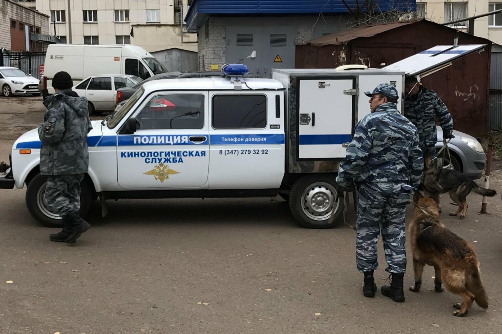 автор