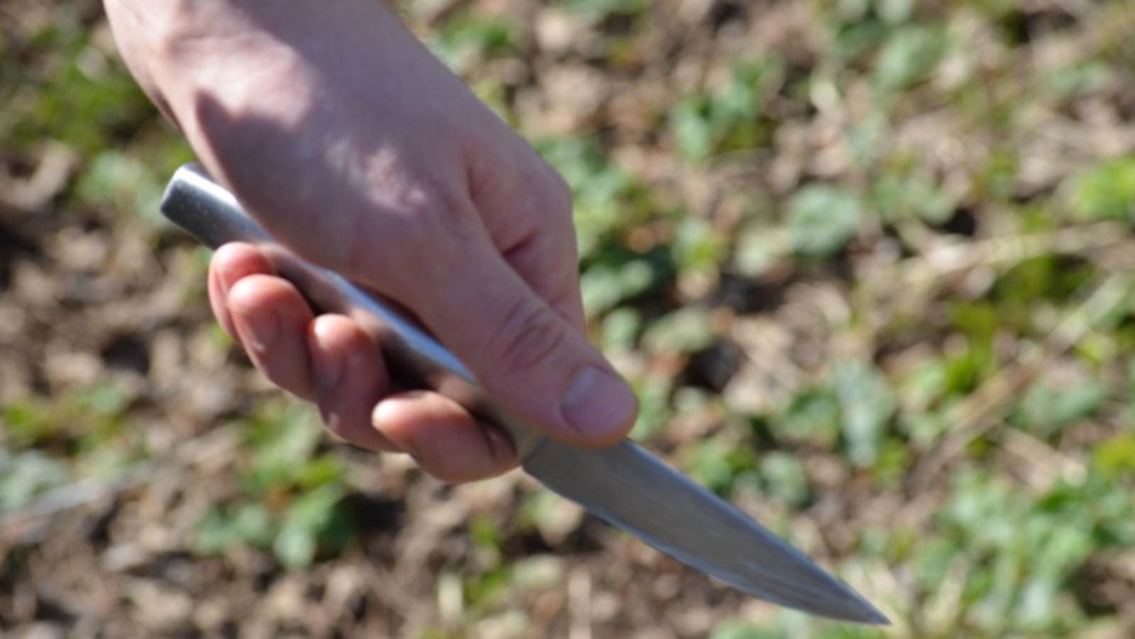 Ксения Калинина