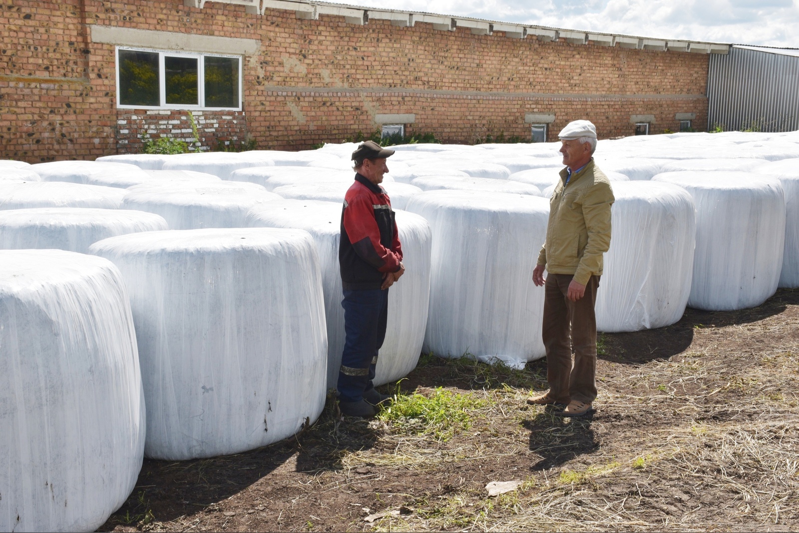 В Кигинском районе приступили к заготовке кормов на зиму