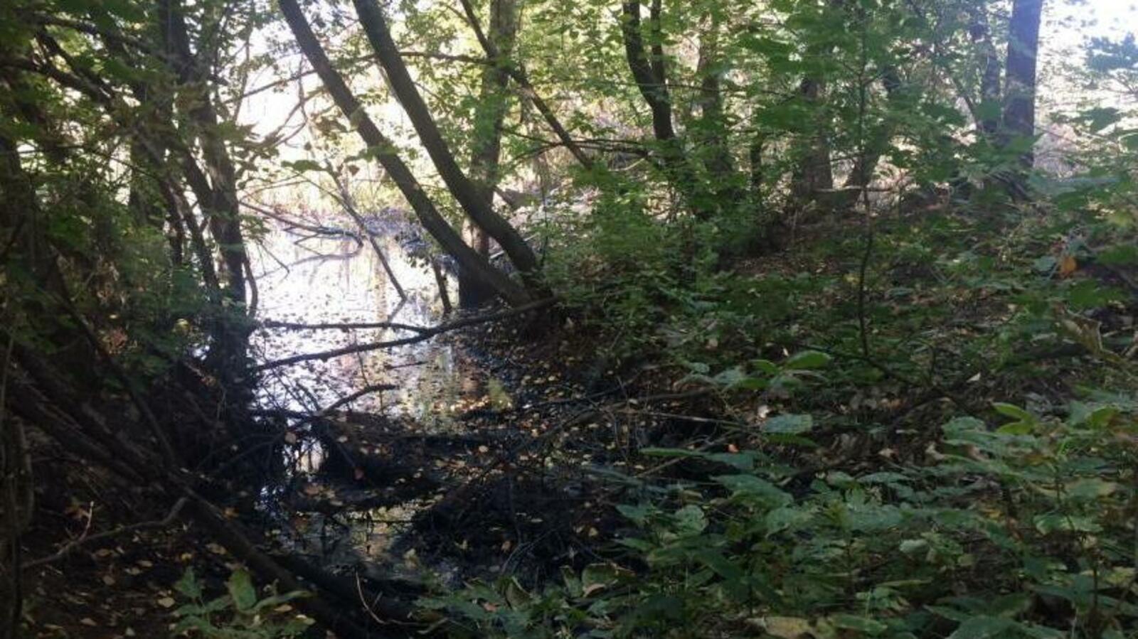 администрация г. Уфы