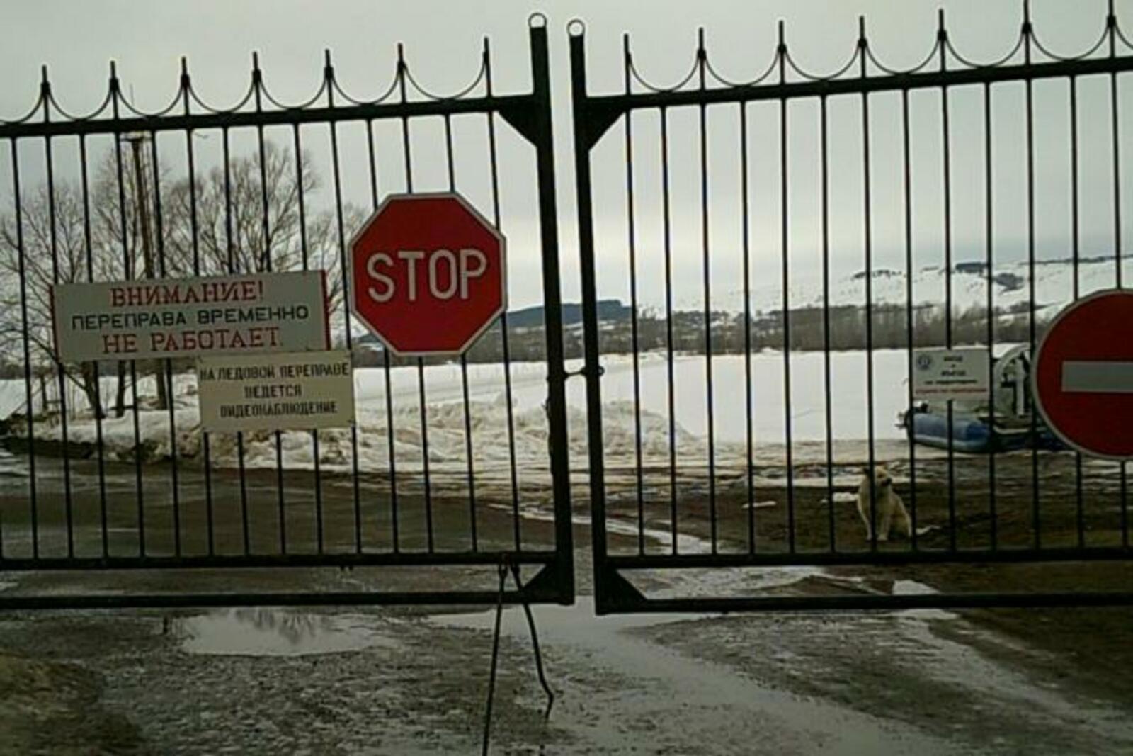 МЧС по РБ