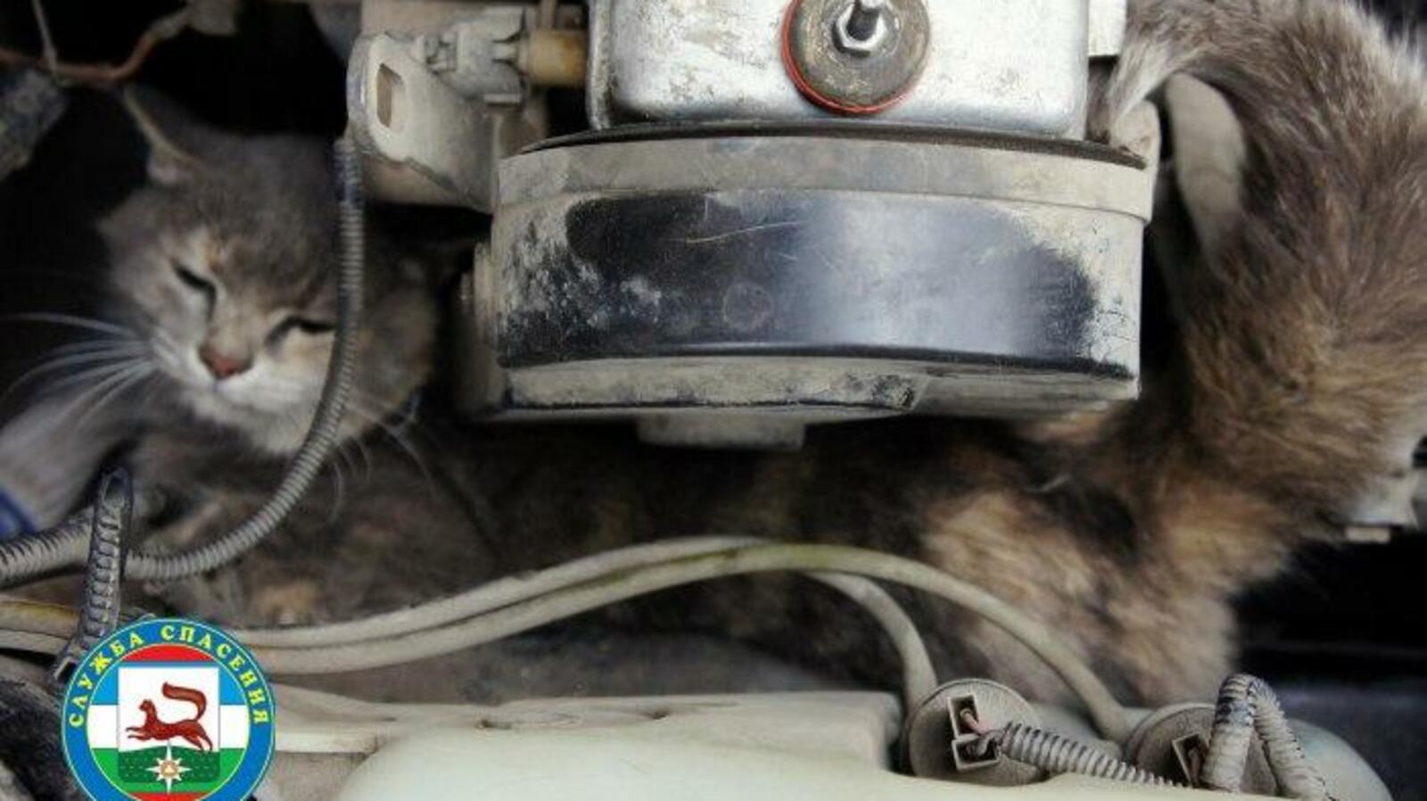 Служба спасения Уфы