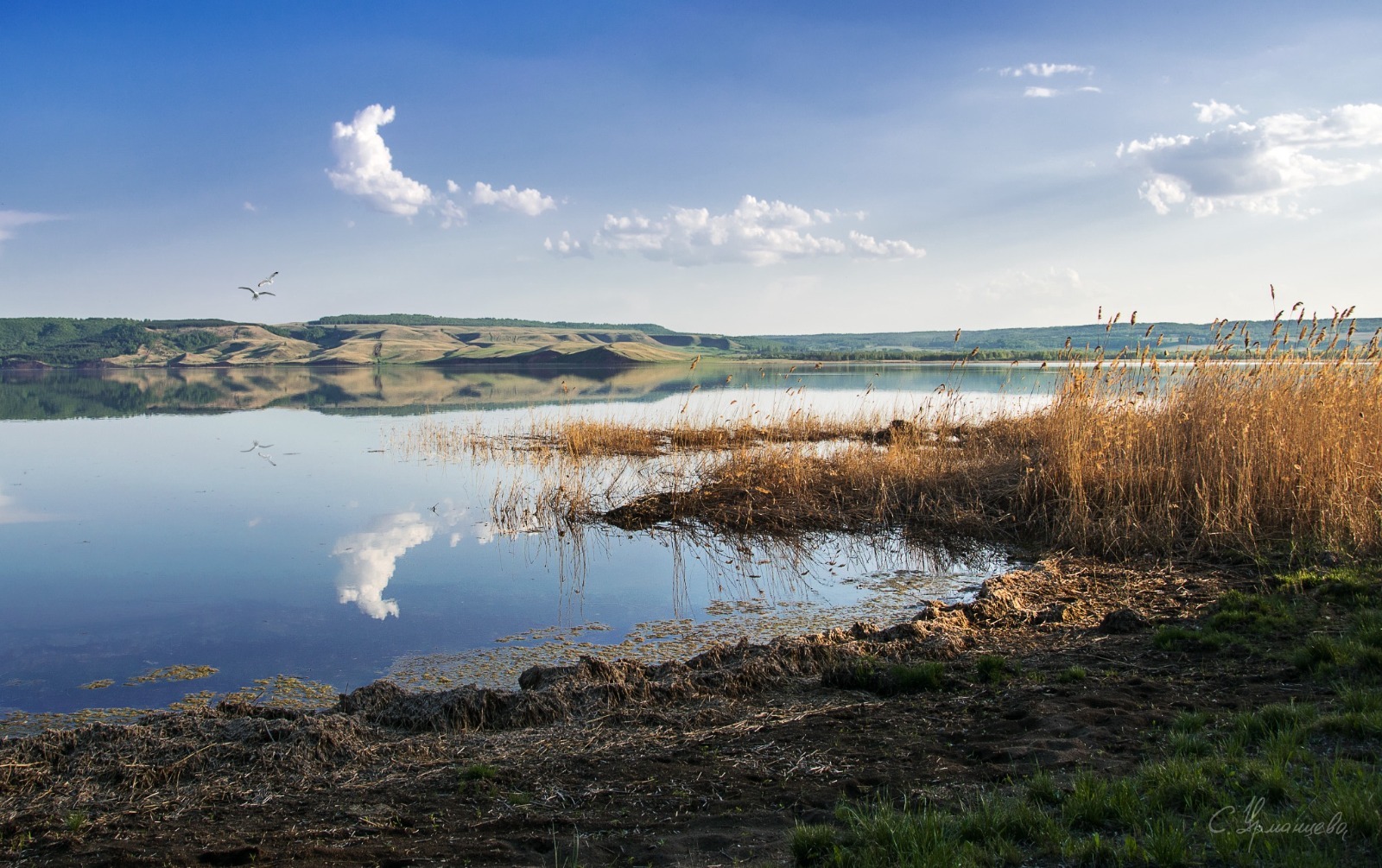 Дирекция по ООПТ РБ