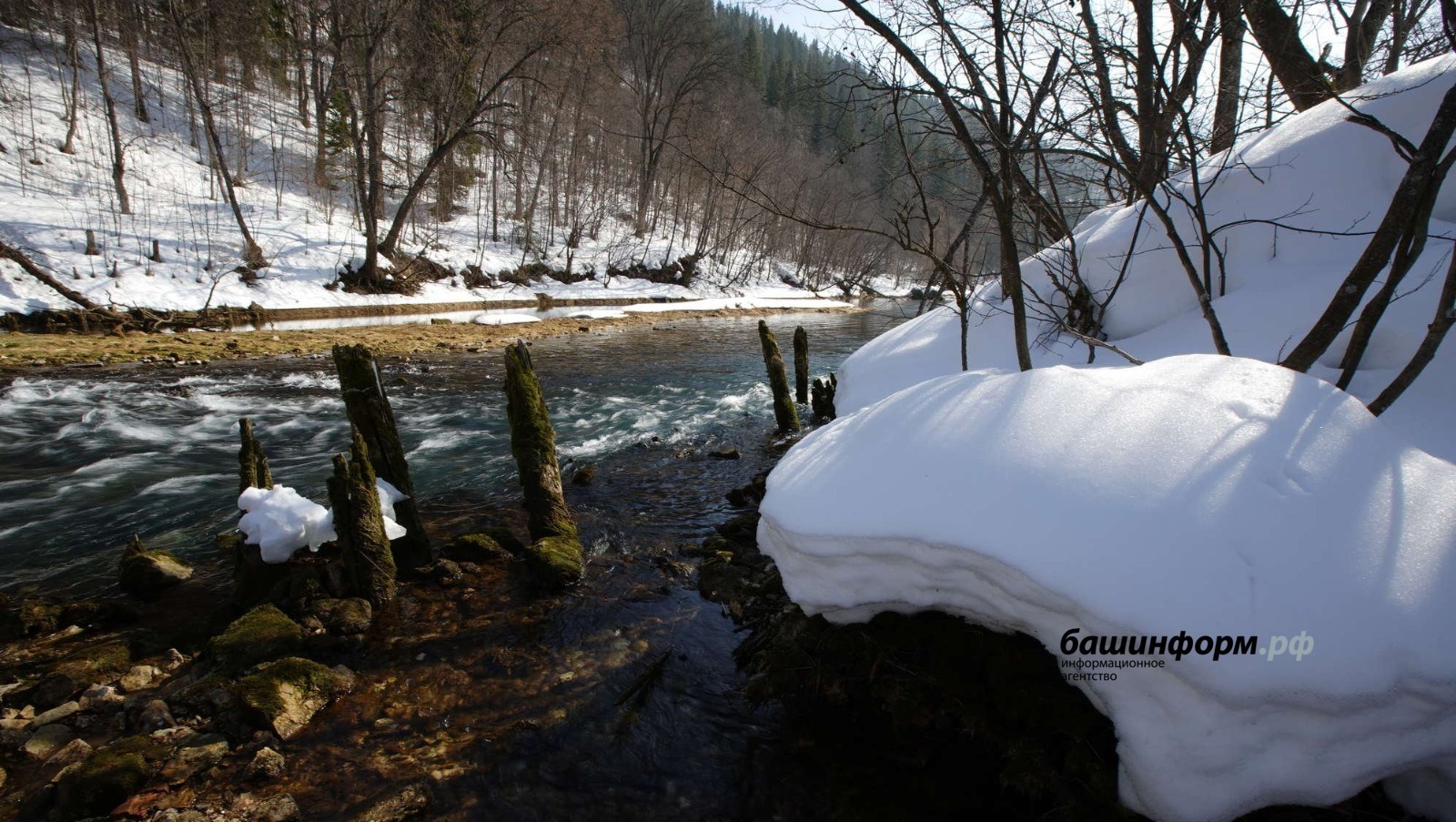 Олег Яровиков  | «Башинформ» мәғлүмәт агентлығы