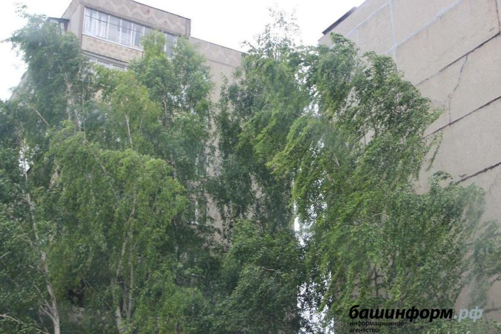 Ксения Калинина