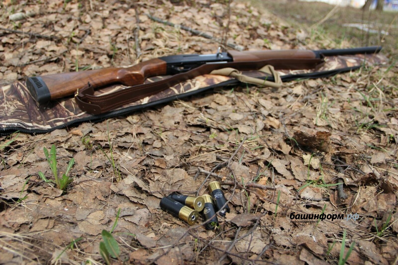 архив «Башинформ»