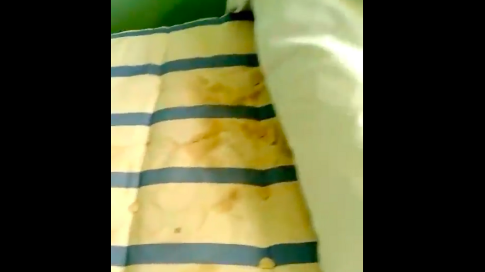 скриншот видео