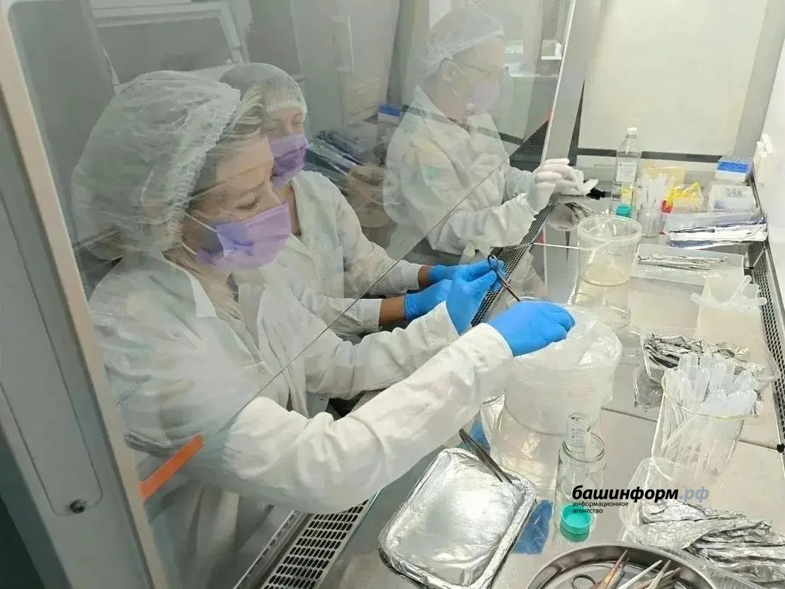 соцсети Радия Хабирова  ВКонтакте