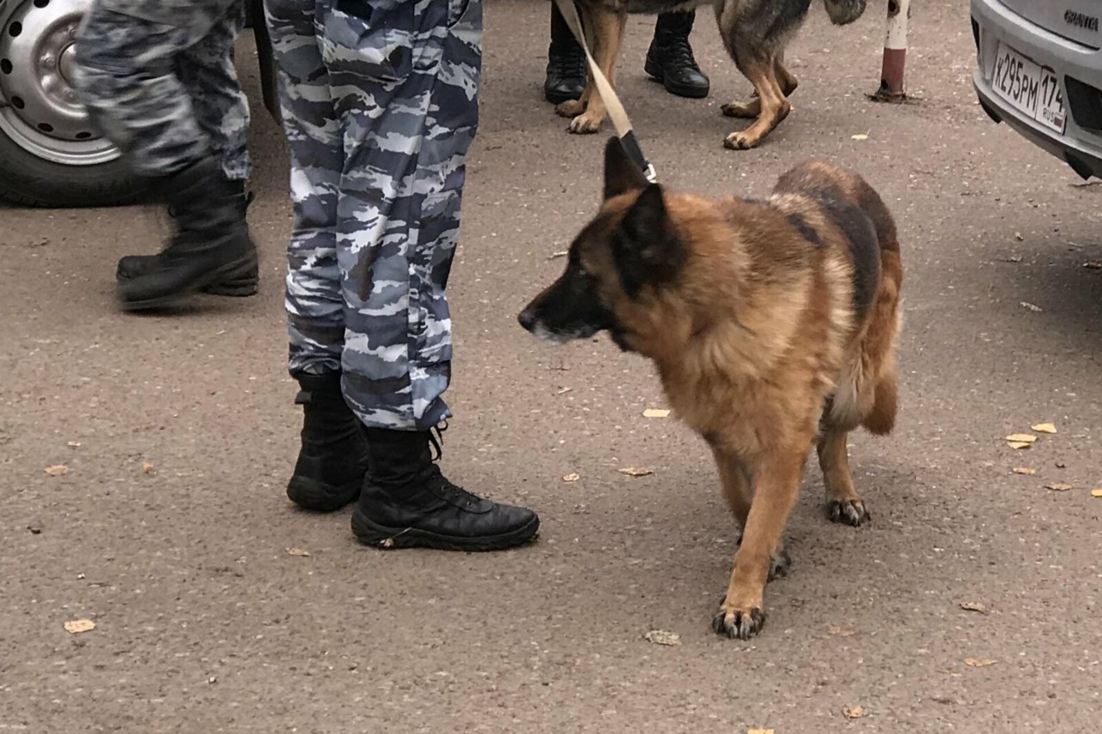 ИА «Башинформ»