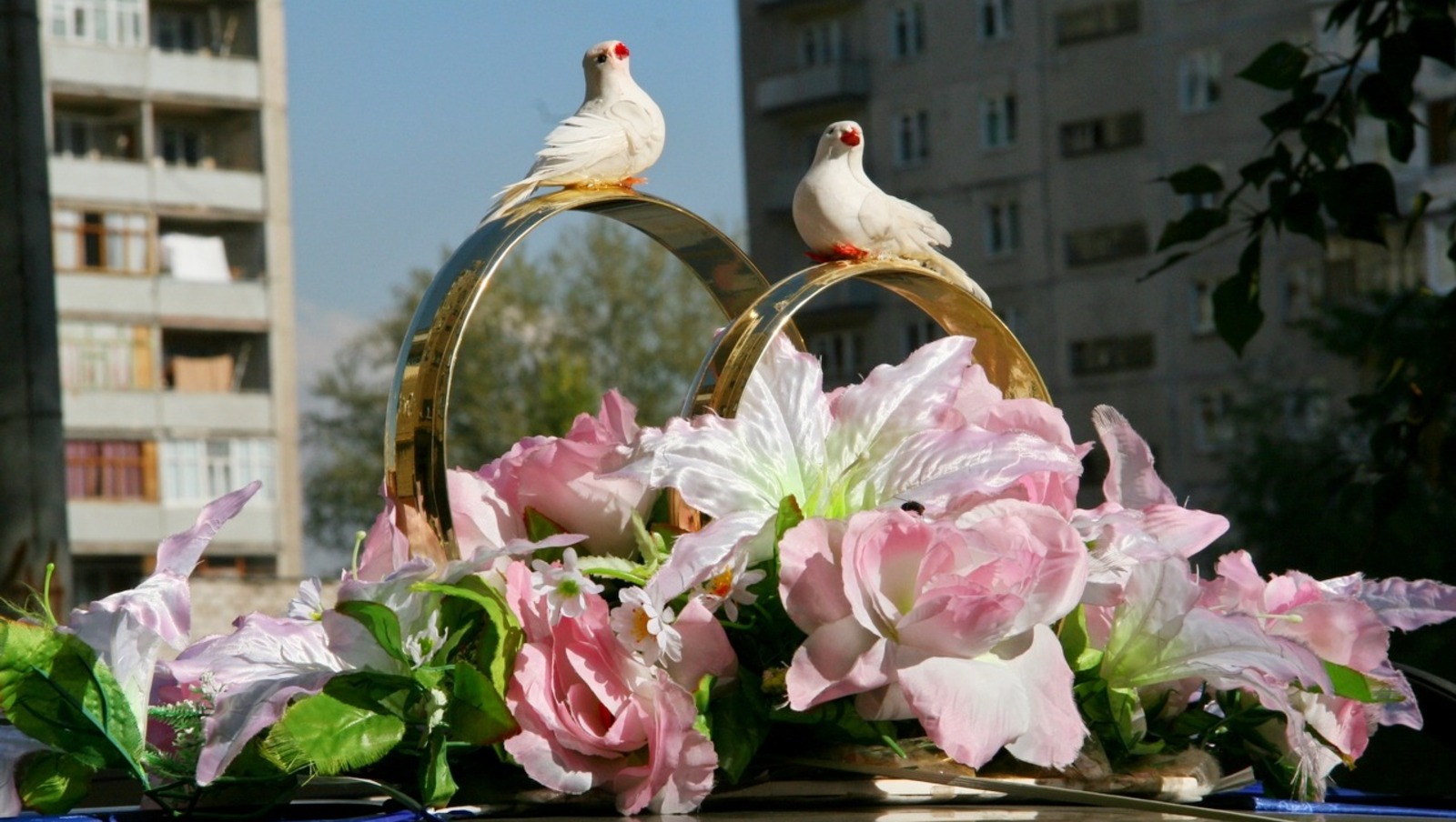 свадьбы на день семьи любви и верности