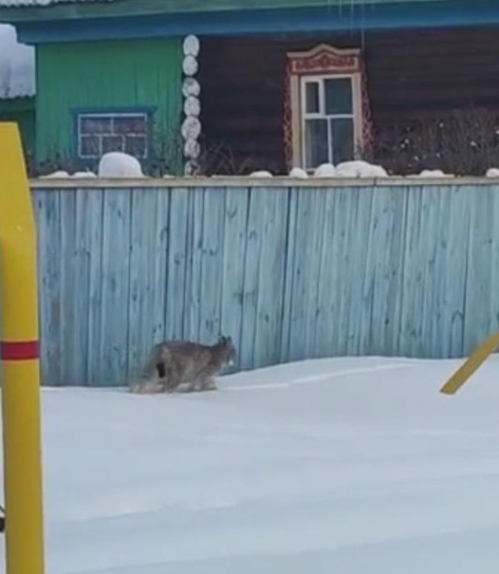 соцсети