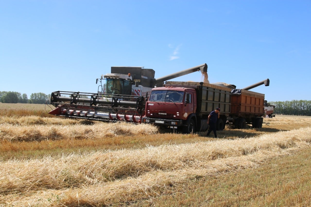 В Башкирии собрали 2,1 млн тонн зерна