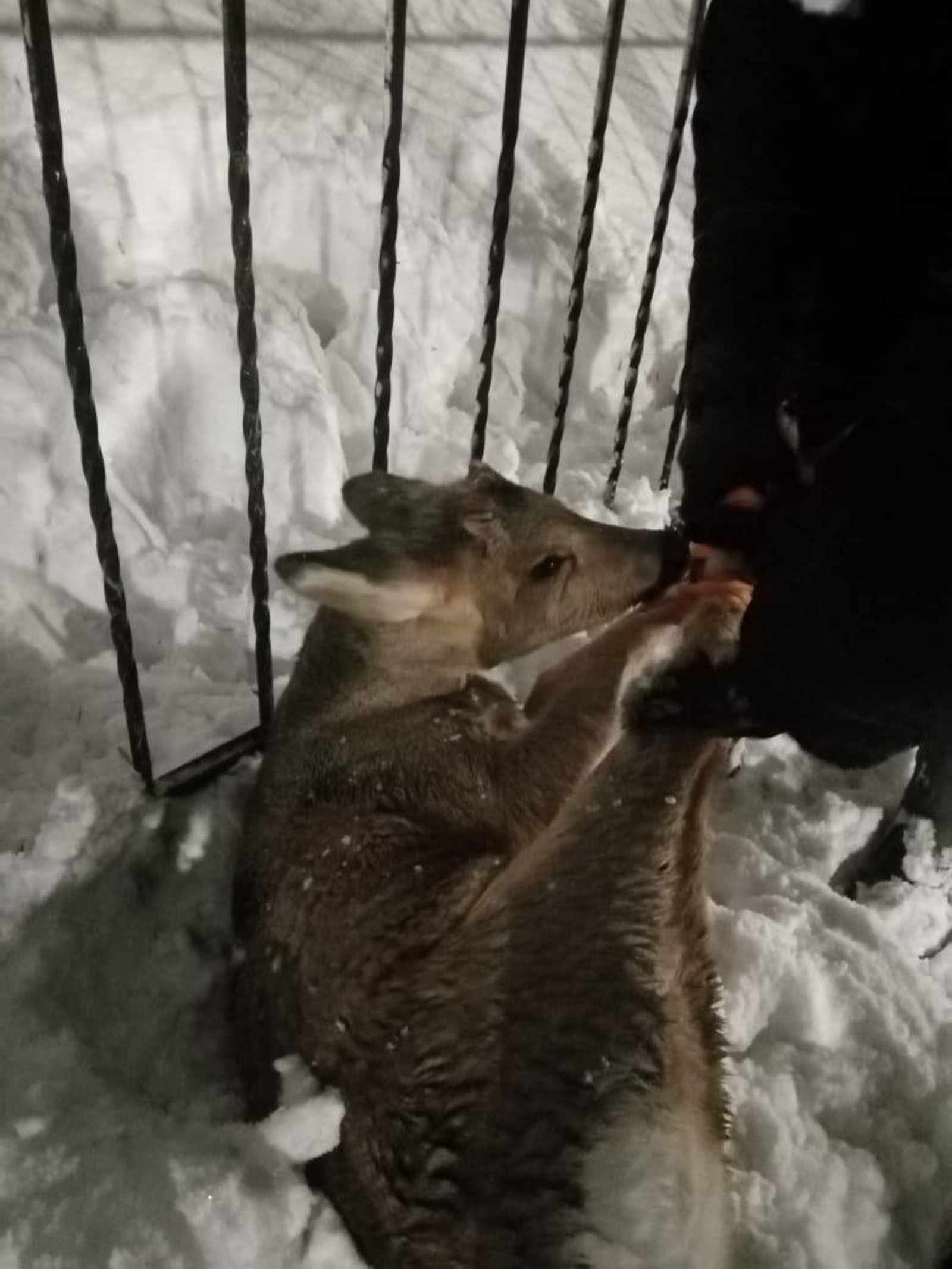 соцсети