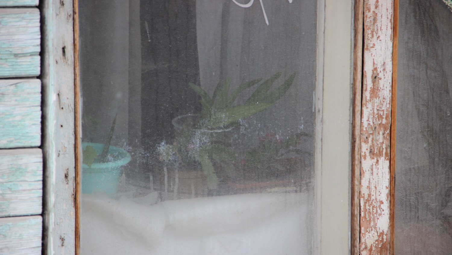 Ксения Калинина  Корпус №2