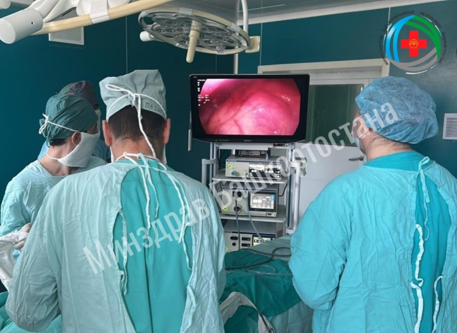 МЗ РБ телеграм