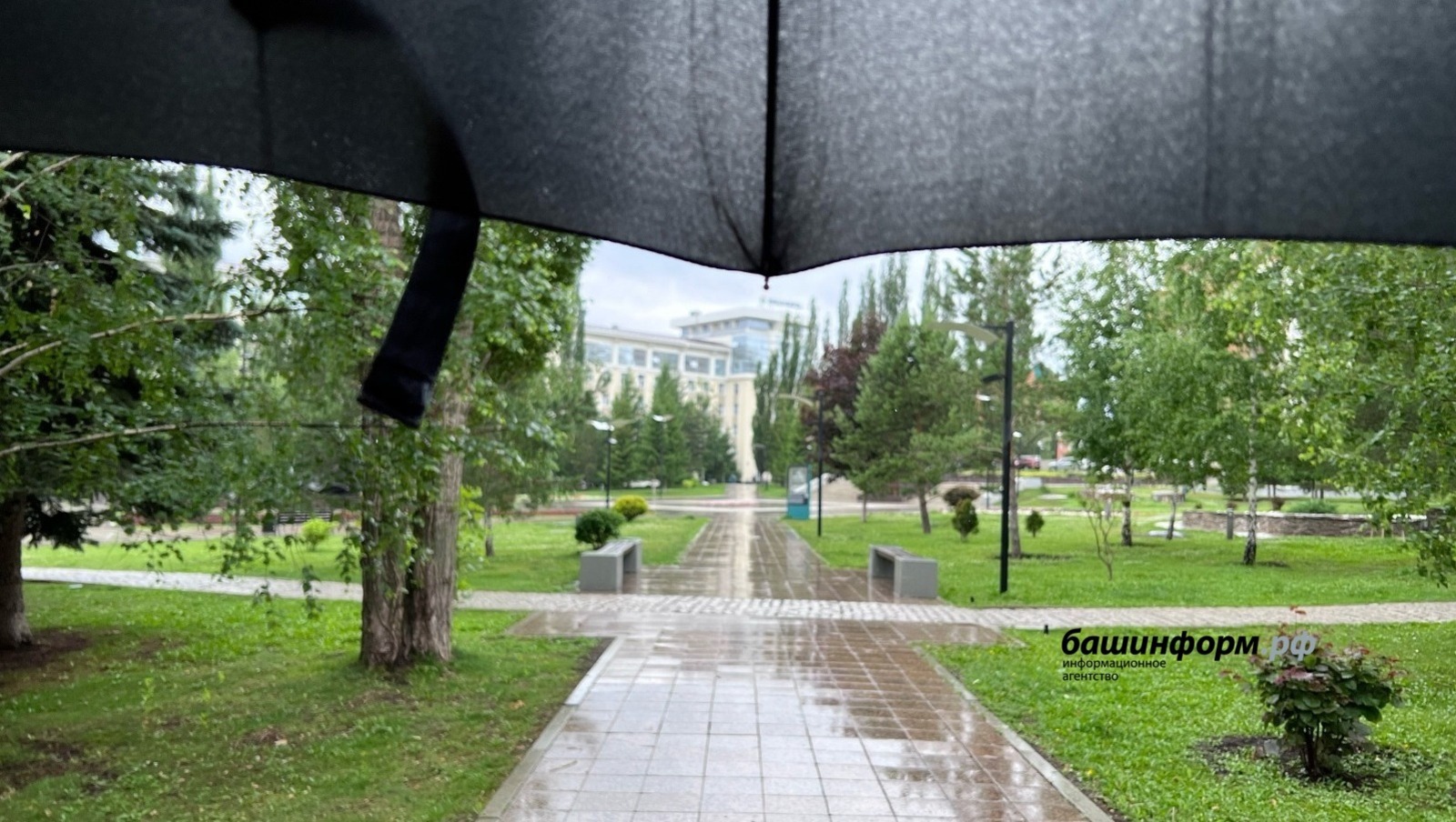 Ксения Калинина