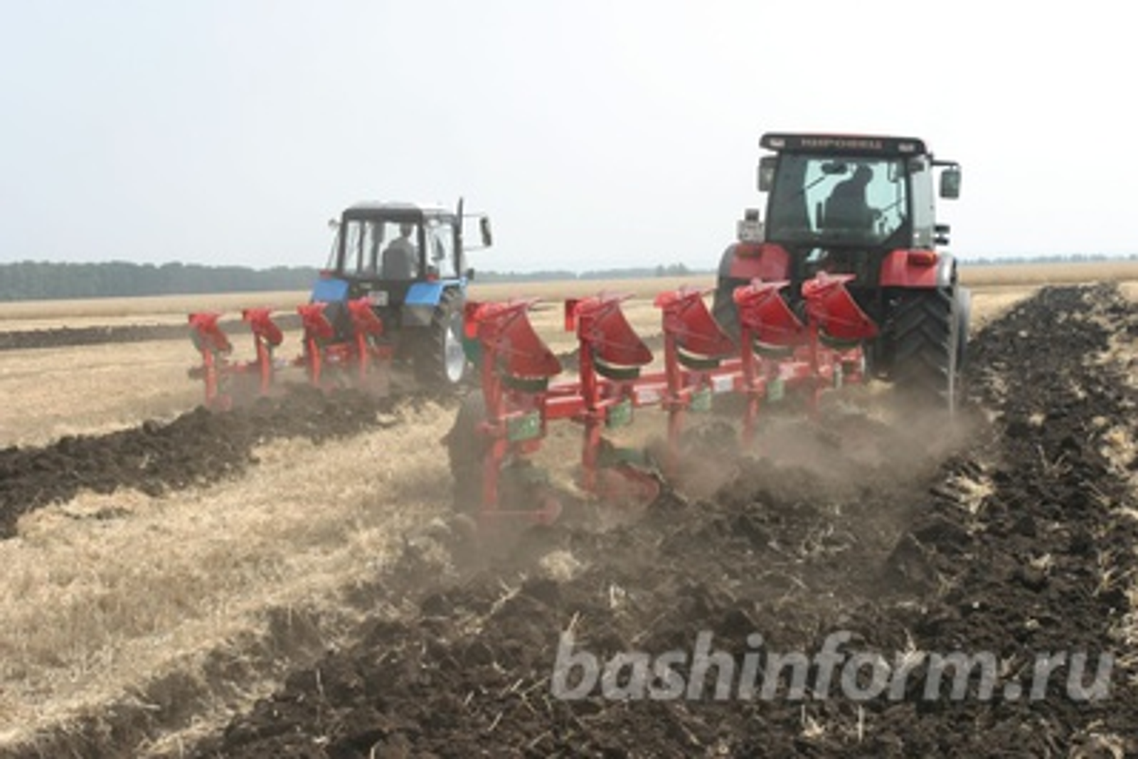 Андрей Старостин