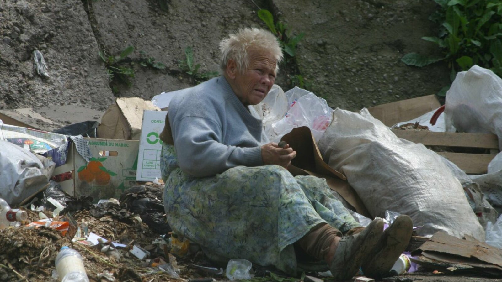 Андрей Старостин