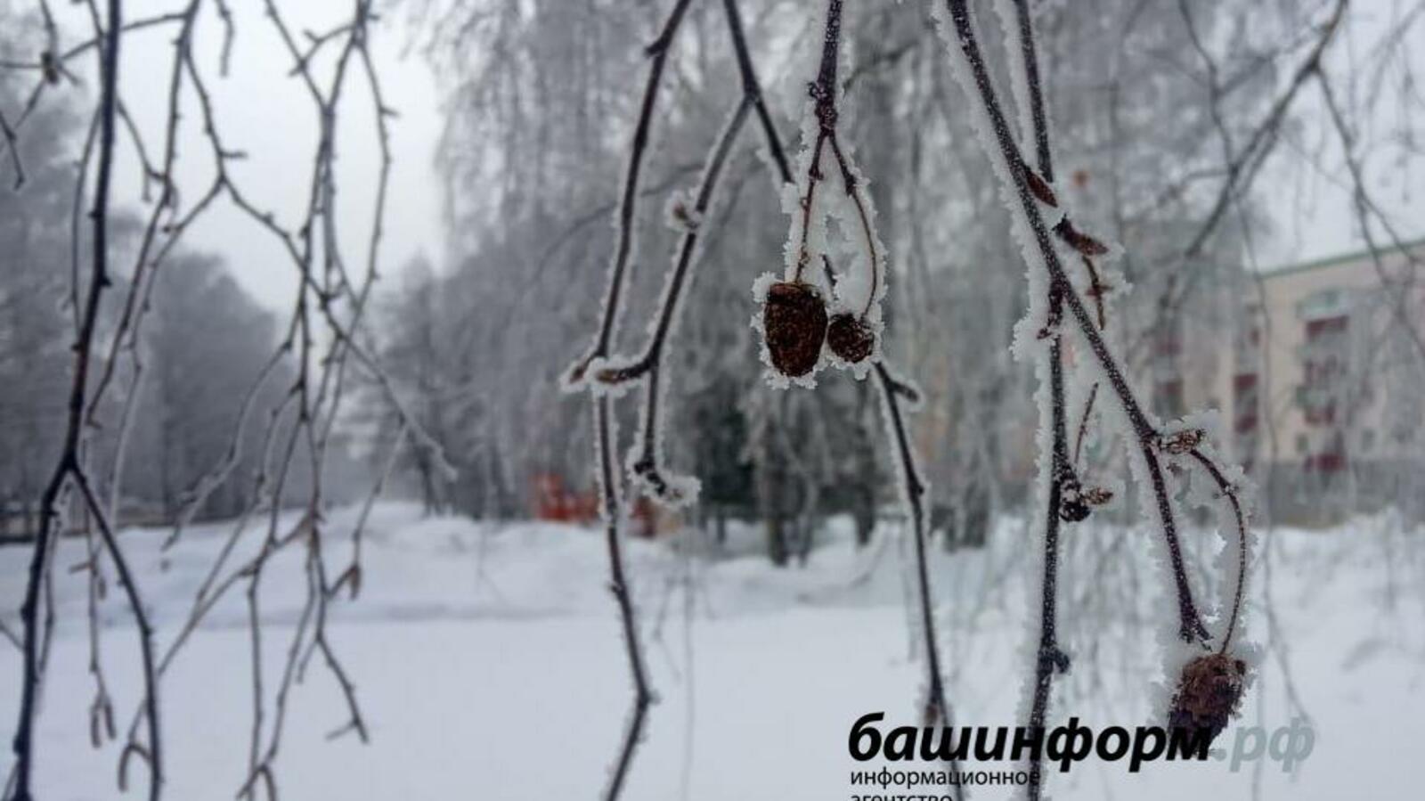 Валерий Шахов