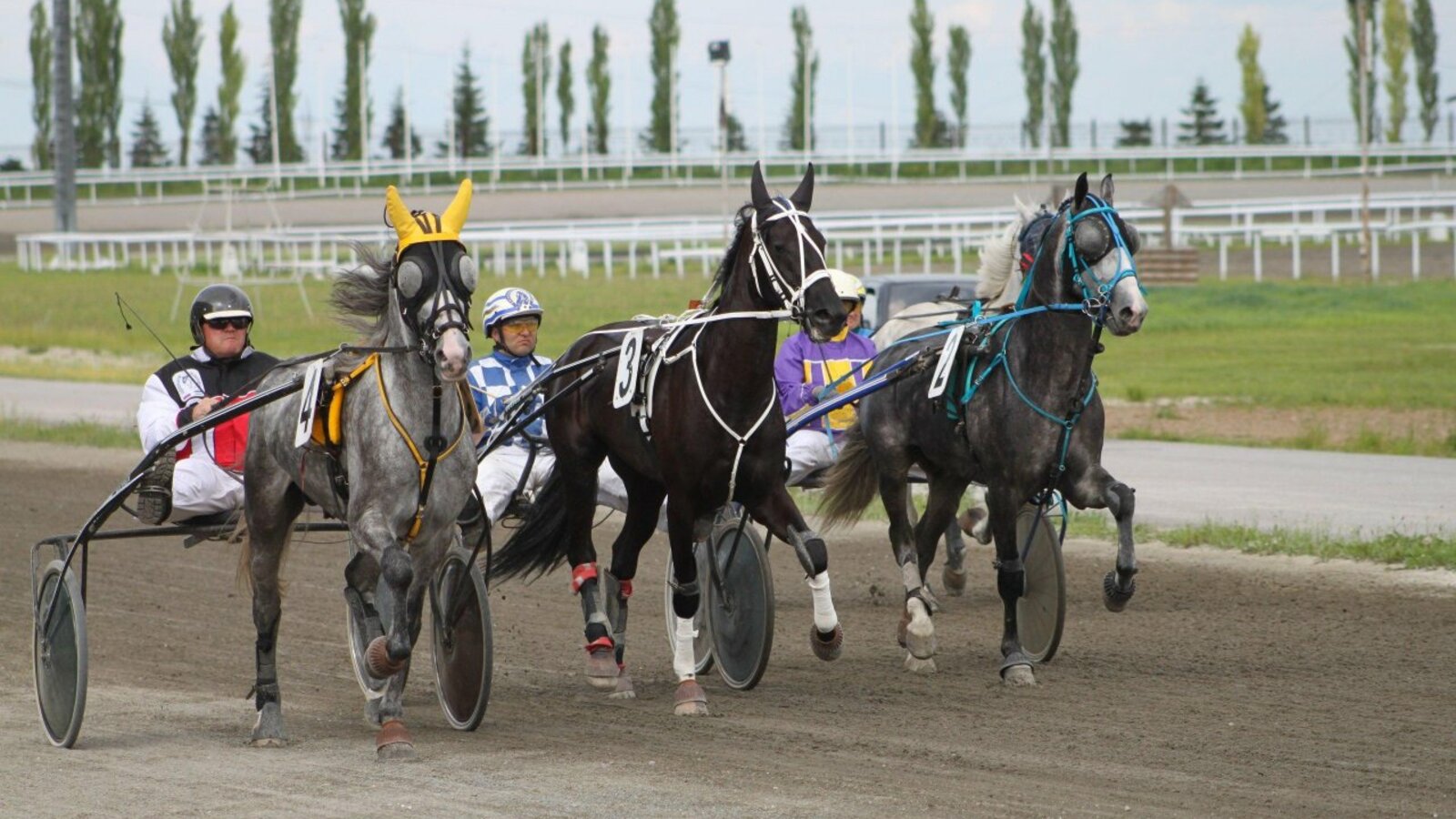 предоставлено ипподром «Акбузат»